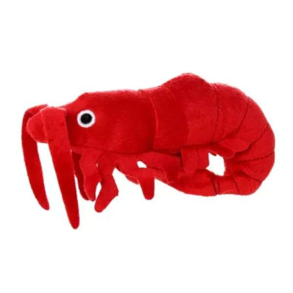 Red - Mighty Jr Ocean - Junior