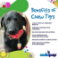 Red - SP Cherry Pie Ultra Durable Nylon Dog Chew Toy and Treat Holder for Aggressive Chewers - OSFA