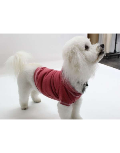 Brick - Doggy Hoodie French Terry - XS