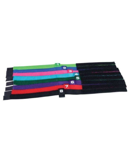 Assorted - Total Pet Health Healthy Puppy ID Collars  8Pk - 8 pack