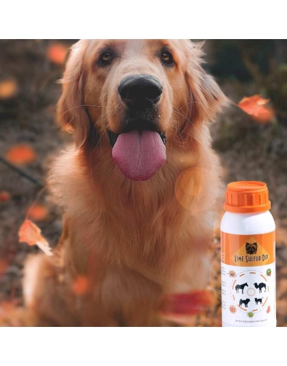 Lime Sulfur Dip - Pet and Veterinary Solution for Dermatitis, Mange, Ringworm and other Parasites - 8 fl oz