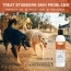 Classic's Medicated Pet Shampoo - Veterinary Treatment Against Ringworm, Mange, Lice, and Dry Skin - 8 fl oz