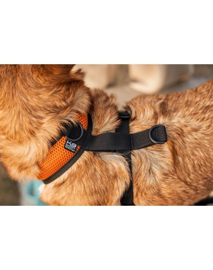 Sunset Orange - K9 Sport Harness - Medium (15-17" Neck 15-21" Chest)