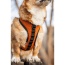 Sunset Orange - K9 Sport Harness - Medium (15-17" Neck 15-21" Chest)
