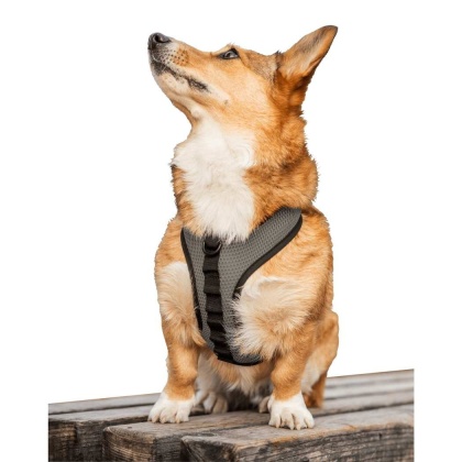Shark Skin Gray - K9 Sport Harness - Small (13-15" Neck 13-18" Chest)