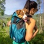 Harbor Blue - K9 Sport Sack Trainer - Large (20"-23" from collar to tail)