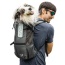 Iron Gate - K9 Sport Sack Trainer - Large (20"-23" from collar to tail)