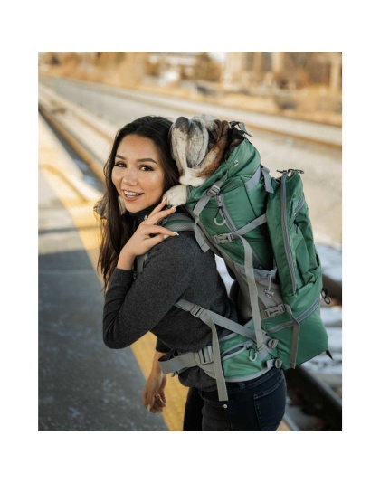 Myrtle Green - Kolossus | Big Dog Carrier & Backpacking Pack - Large (20"-23" from collar to tail)