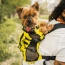 Buttercup Yellow - Walk-On with Harness & Storage - Large (17-19" Neck 17-24" Chest)
