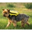Buttercup Yellow - Walk-On with Harness & Storage - Large (17-19" Neck 17-24" Chest)
