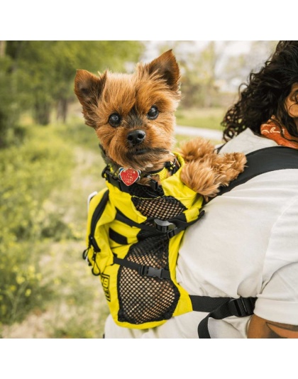 Buttercup Yellow - Walk-On with Harness & Storage - Small (13-15" Neck 13-18" Chest)