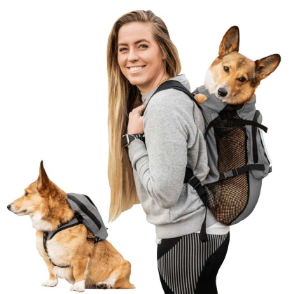 Shark Skin Gray - Walk-On with Harness & Storage - X-Small (11-13" Neck 11-15" Chest)