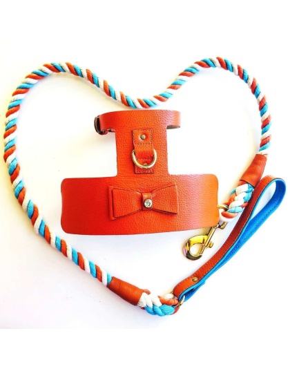 Vibrant Sunset - Dog Harness  - XS