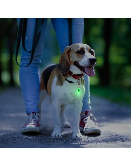 Blue - Blue/White LED - Pet Blinkers Flashing LED Pet Safety Light  - Small Breed