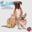 Red - Red/Blue LED - Pet Blinkers Flashing LED Pet Safety Light  - Large Breed