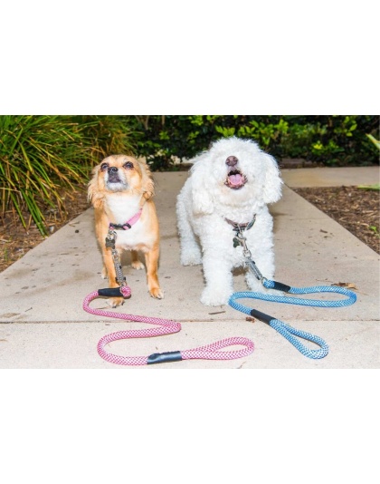Kandy Kane - Tug Control Leash with Reflectors & Shock Absorber - Small