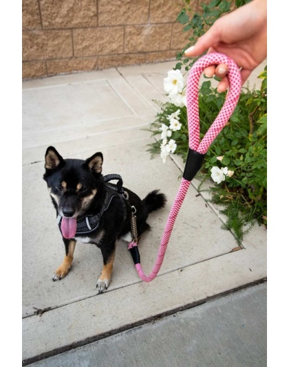 Kandy Kane - Tug Control Leash with Reflectors & Shock Absorber - Small