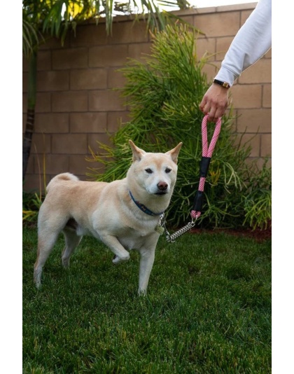 Kandy Kane - Tug Control Leash with Reflectors & Shock Absorber - Small