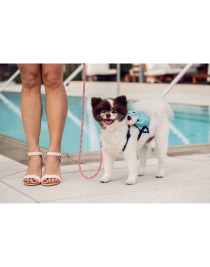 Kandy Kane - Tug Control Leash with Reflectors & Shock Absorber - Small