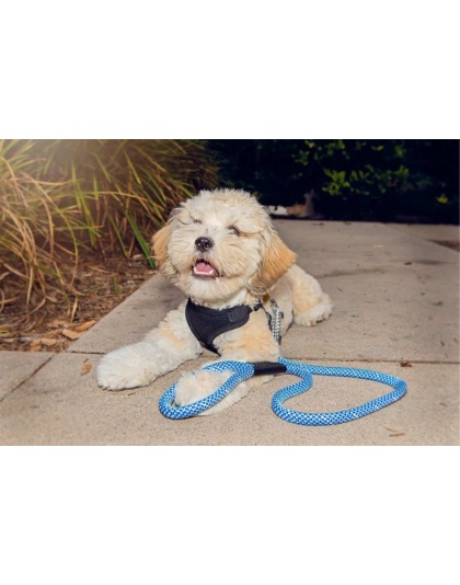 Elektric Blue - Tug Control Leash with Reflectors & Shock Absorber - Large