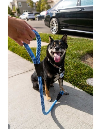 Elektric Blue - Tug Control Leash with Reflectors & Shock Absorber - Large