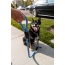Elektric Blue - Tug Control Leash with Reflectors & Shock Absorber - Large