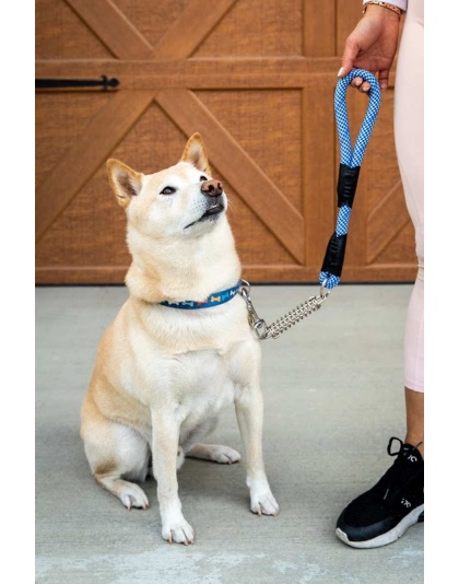 Elektric Blue - Tug Control Leash with Reflectors & Shock Absorber - Large