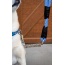 Elektric Blue - Tug Control Leash with Reflectors & Shock Absorber - Large