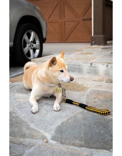 Bumblebee - Tug Control Leash with Reflectors & Shock Absorber - Large