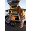 Desert Rose - Newport Pet Stroller (3-in-1 Travel System)