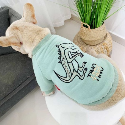 Mint Green - Dinosaur Love - Matching Pet and Owner Clothing Set -   3XL