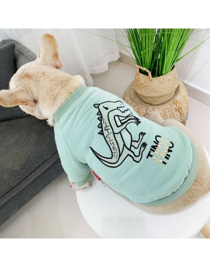 Mint Green - Dinosaur Love - Matching Pet and Owner Clothing Set -   4XL
