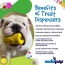 Yellow - SodaPup Corn on the Cob Treat Dispenser - Medium