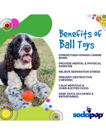Orange - SP Smile Ball Ultra Durable Synthetic Rubber Chew Toy & Floating Retrieving Toy  - Medium