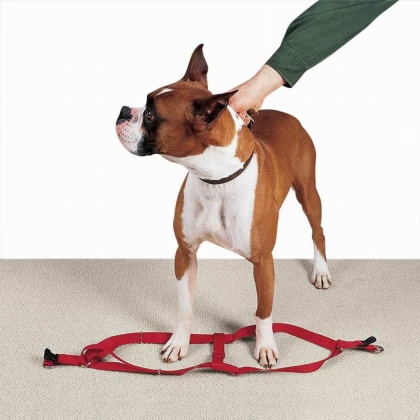 Red - CC Nylon 2 Step Harness 9-15In Red - 9-15in