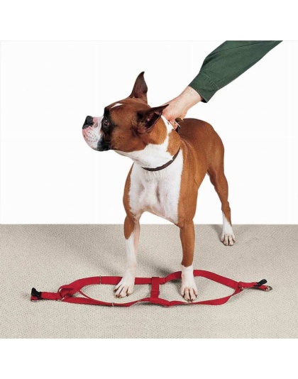 Red - CC Nylon 2 Step Harness 9-15In Red - 9-15in