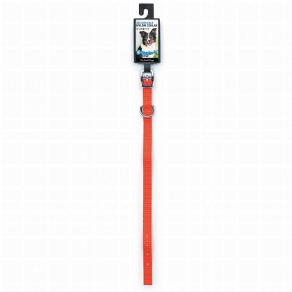 Neon Orange - DGR 1/2in Nylon Collar 16in Neon Org - 16in