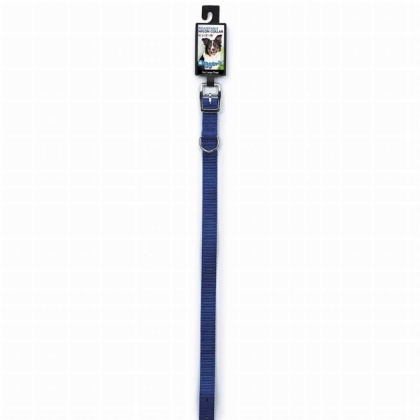 Blue - DGR 3/4in Nylon Collar 20in Blue - 20in