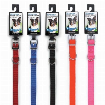 Neon Orange - DGR 5/8in Nylon Collar 10in Neon Org - 10in