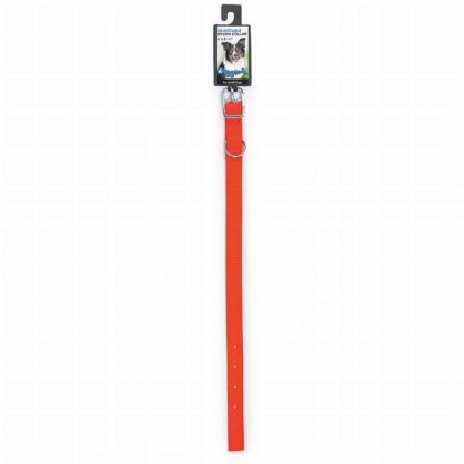 Neon Orange - DGR 5/8in Nylon Collar 12in Neon Org - 12in
