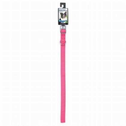 Neon Pink - DGR 5/8in Nylon Collar 18in Neon Pink - 18in