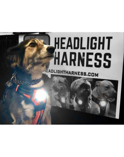 Pink - Headlight Harness, Dog Harness with Built In LED Light - Small
