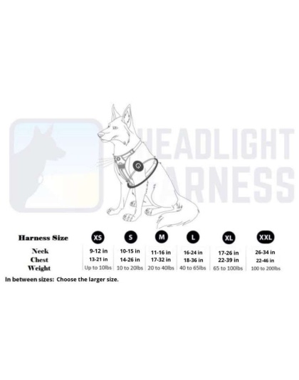 Pink - Headlight Harness, Dog Harness with Built In LED Light - Small