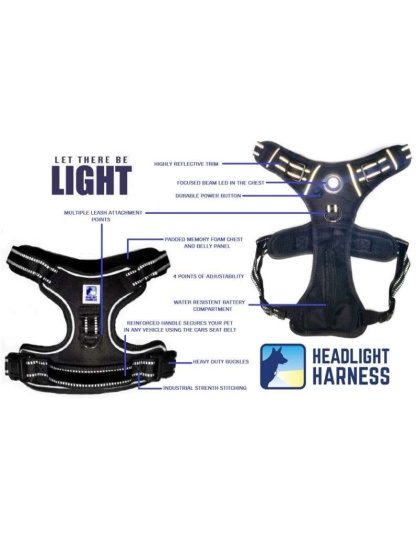 Blue - Headlight Harness, Dog Harness with Built In LED Light - Xlarge