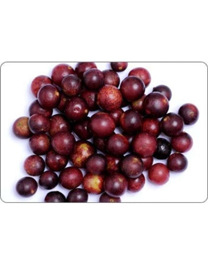 All Shins & Grins Capsules - Antioxidant Super Food Bone, Eye, Teeth & Skin Support Dog & Cat* - DOG/ 90 caps / 500 mg.