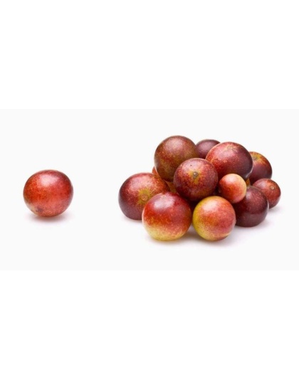 Camu Camu Extract Joint Teeth & Eye Support* The Petz Kitchen - Organic Human Grade Ingredients For Home Prepared Meals & Treats - 4 Oz