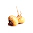 Dog And Cat Kryptonite Adrenal, Thyroid, Pituitary & Hypothalamic Support* - CAT// 90 caps /  250 mg /