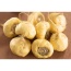 Dog And Cat Kryptonite Meal Topper - Adrenal, Thyroid, Pituitary & Hypothalamic Support* - DOG /4 Oz.