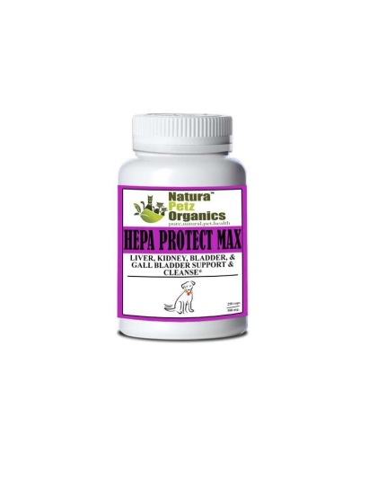 Hepa Protect Max Capsules - Liver, Kidney, Bladder & Gall Bladder Support & Cleanse* - DOG/ 250 caps / 500 mg