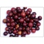 I Want Liquid Immunity - Whole Body Immunity & Antioxidant Cellular Support* - DOG/16.9 fl oz / 500 ml